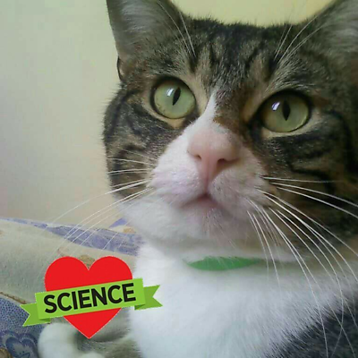 PuhchoPolinov picture