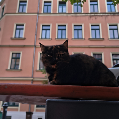 steampannek picture