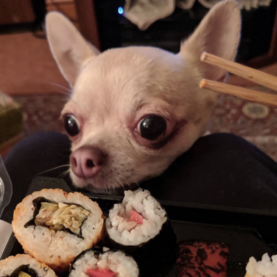 veganfoodmuncher picture