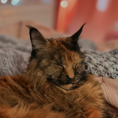 nataszka picture