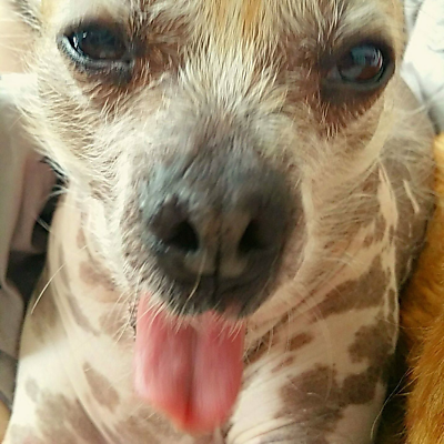 AngelaJaneKemp picture