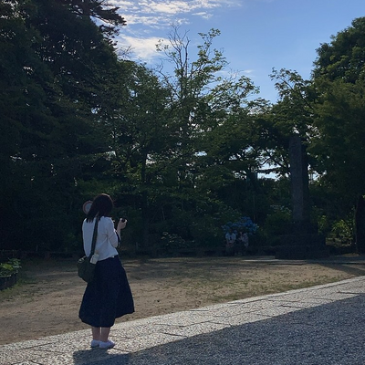 Shinoburedo picture