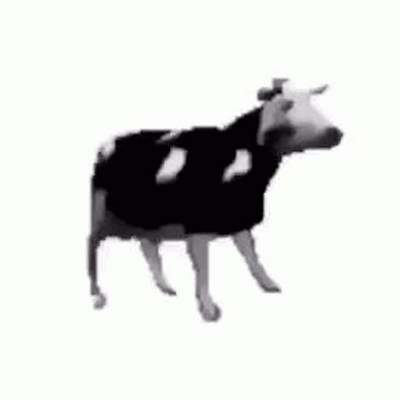 dancingcow picture