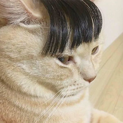 ReynaldoTapia picture