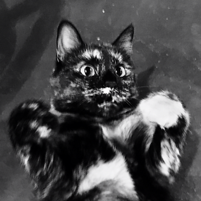 ShawnKingrey picture