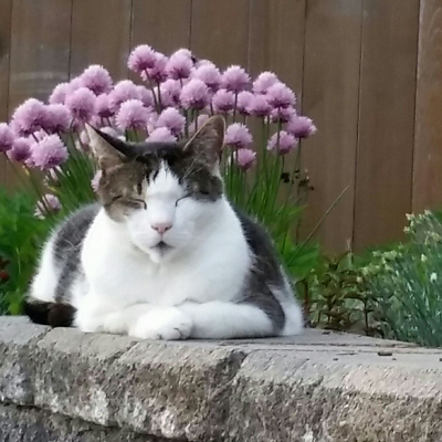 Carmen-RawFoodie picture