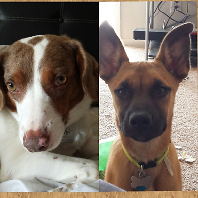 SierraMitcham picture