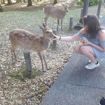 BecciWhitaker picture