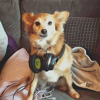 NathalieMarshall picture