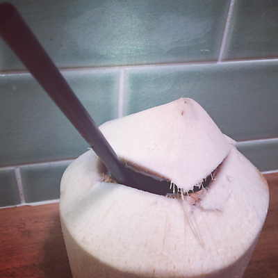 vegancyclist picture