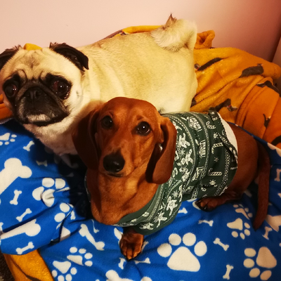 untaintedtastes picture