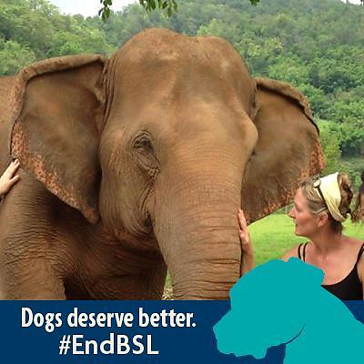 MarilynGuerin picture