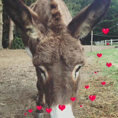 GarethFromWales picture