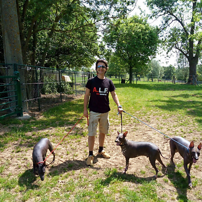 NickBelhomme picture