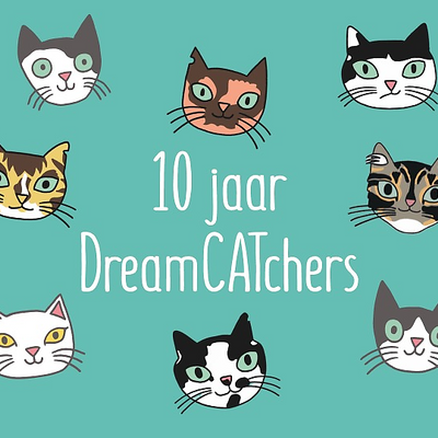 DreamCATchers picture