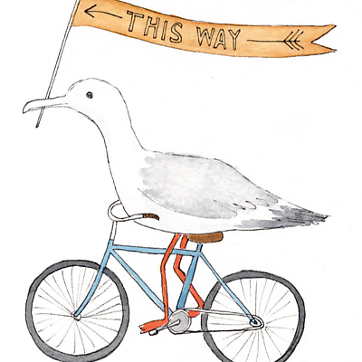 Seagullonbicycle picture