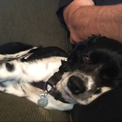 gordonpcrespo picture