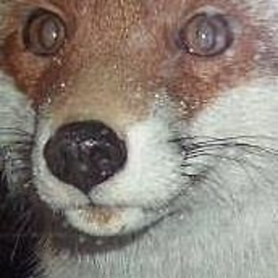 PiotrWilkMorski picture