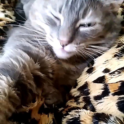 MarilynCrowley picture