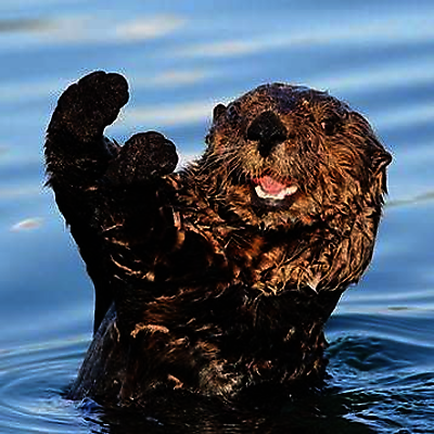 MichelleFields picture