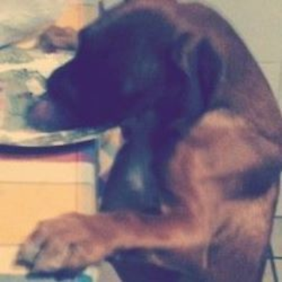 NuriaFerriol picture