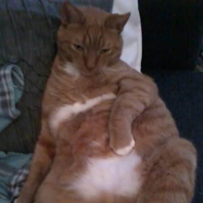 IrmavanHerwijnen picture