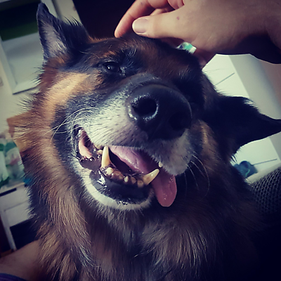 MichałSzulczewski picture