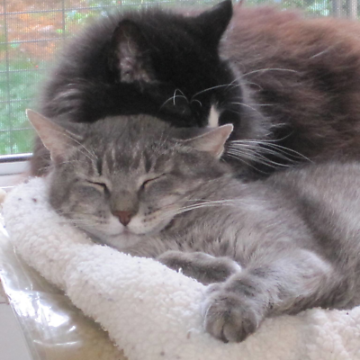 MarthaMooneyWaltien picture