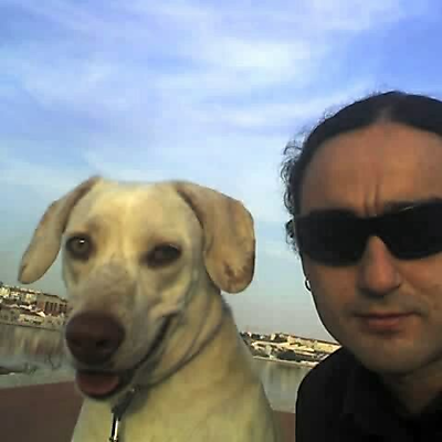 PedroVideira picture