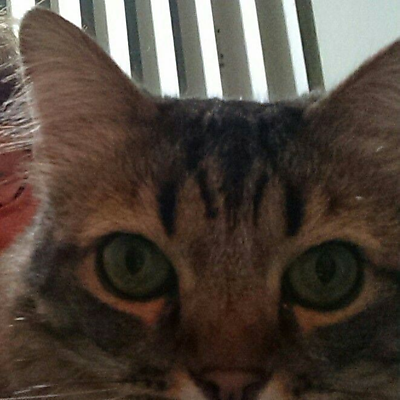 ChristinaAvery picture