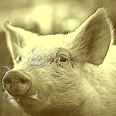 JeanClaudeDeschamps picture