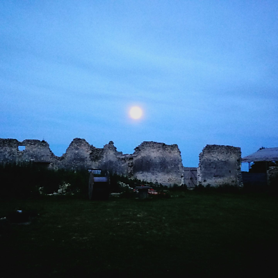 ChristopheNicolas picture