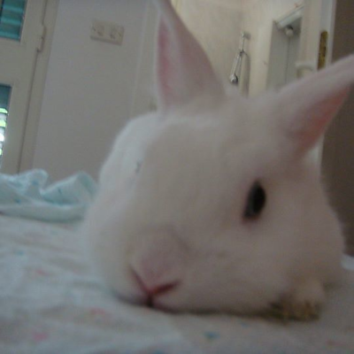 MinoruWounds picture