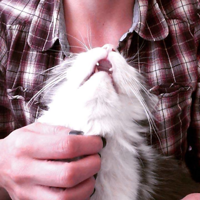 DulceRamírez picture