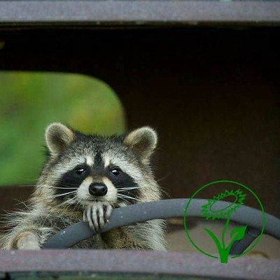 MichaelWeingessl picture