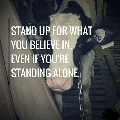 AlexandraMarzuqa picture