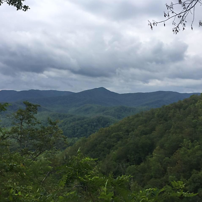 NeldaEnriquez picture