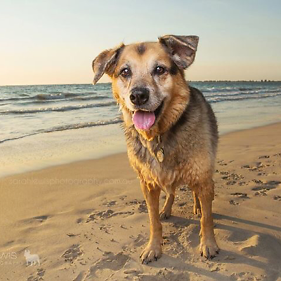 rehinathevegan picture