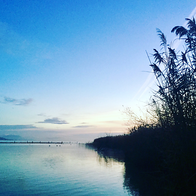 michelzwahlen picture