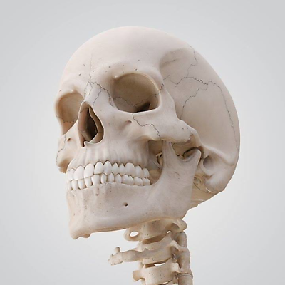 KatyaBariudin picture