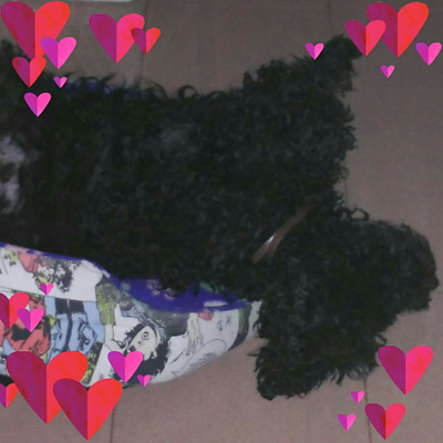 RaúlGonGuer picture