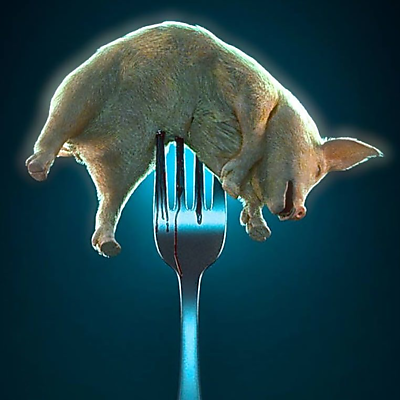 JoãoCopenhVeganLøbo picture