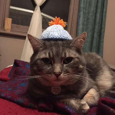 LaurenGreenwood picture