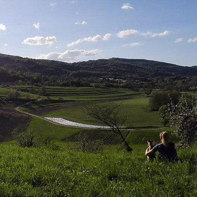 SaraGrošič picture