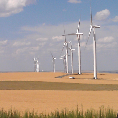 LoriAnnPrice picture