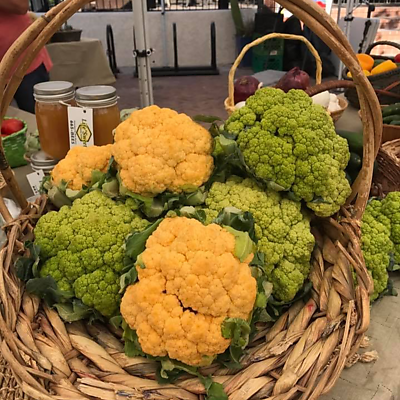 FoodInRoot picture