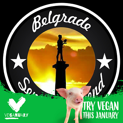 NevenKogović picture