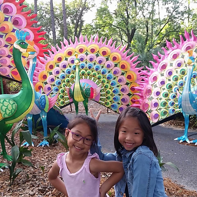 starrysister picture