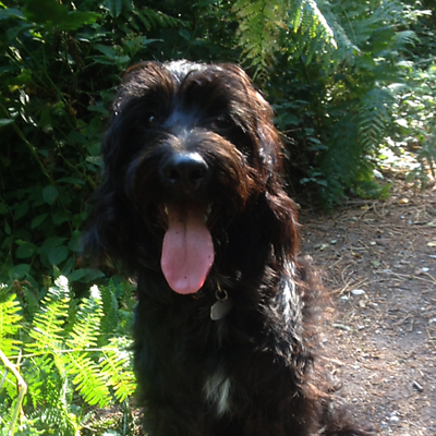 SweetPotato70 picture