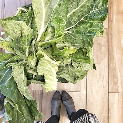 LaraPereiradaSilva picture